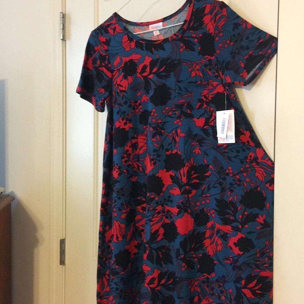 LuLaRoe XS Carly